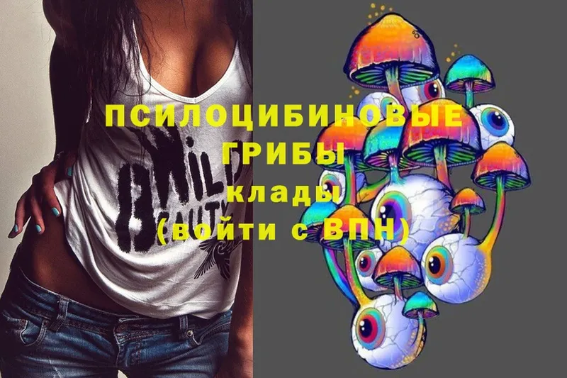 Псилоцибиновые грибы Cubensis  сколько стоит  Ставрополь 